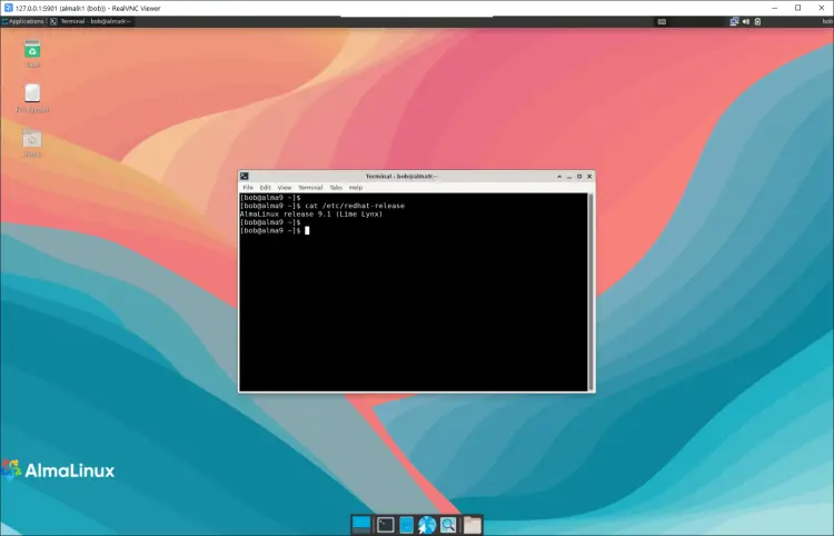 connected to vnc server