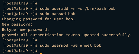 add new user