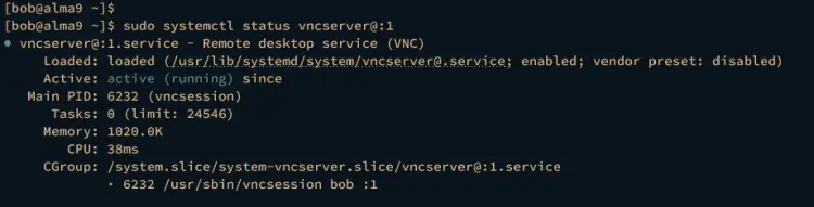 checking vnc server service