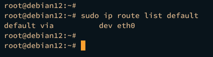 check default gateway