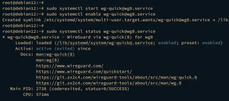 start verify wireguard service