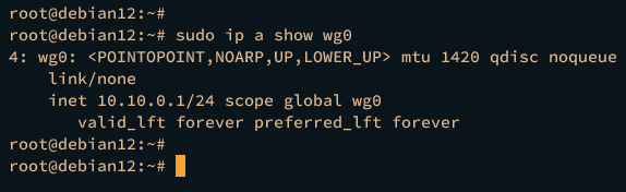 check wg0 interface