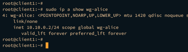 check wireguard interface on client