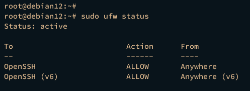 verify ufw