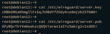 show server key
