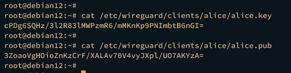 show client key