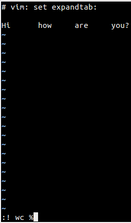 Command ready to be executed in VIM