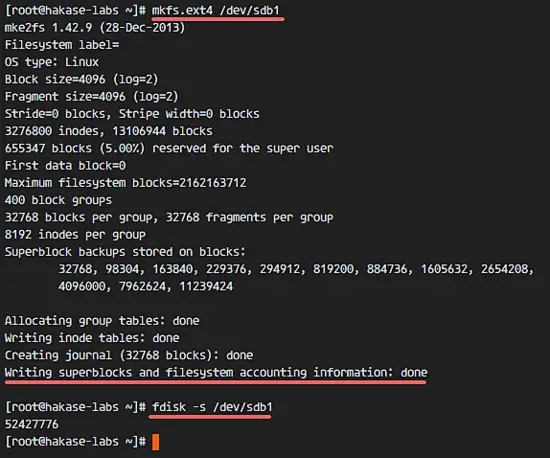 Format the new partition with ext4