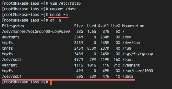 Mount the drive permanently in fstab