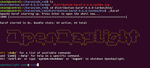 Install OpenDaylight