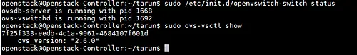 ovs-vsctl show