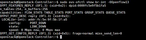 ovfs-ofctl command result