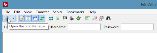 Open Server manager in FileZilla.