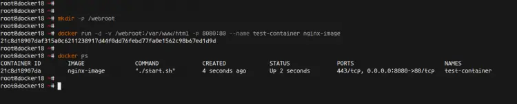 Running Docker Container using the Custom Image