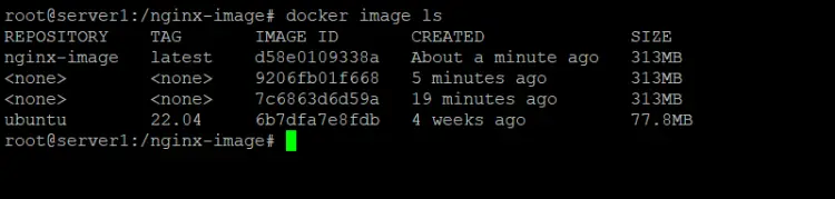 Check Docker Images