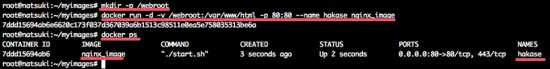 Check if our Docker container is running