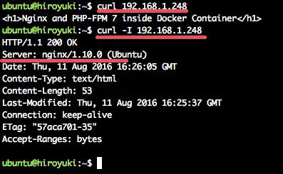 Test if nginx is reachable within the Docker container