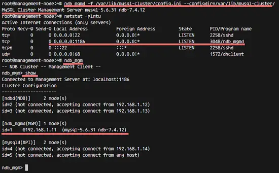 MySQL Cluster management node has been started.