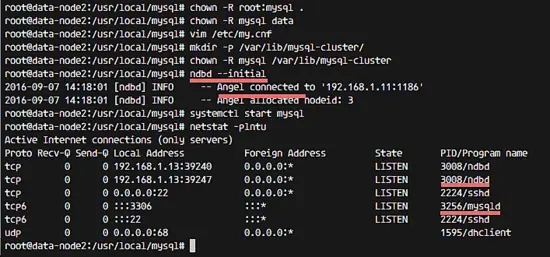 Start MySQL on the data node