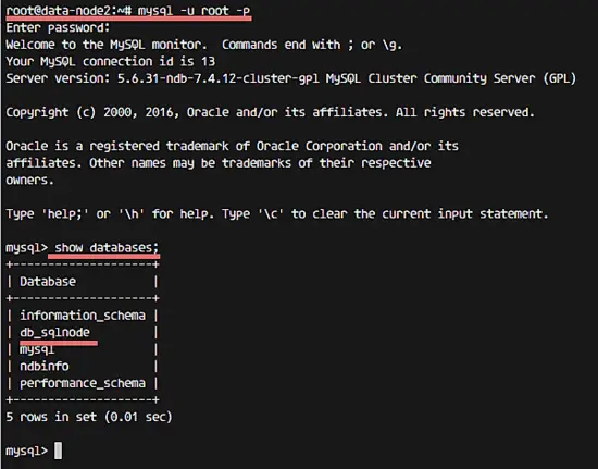 Checking the database from data node