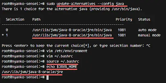 Configure the Java Home environment.