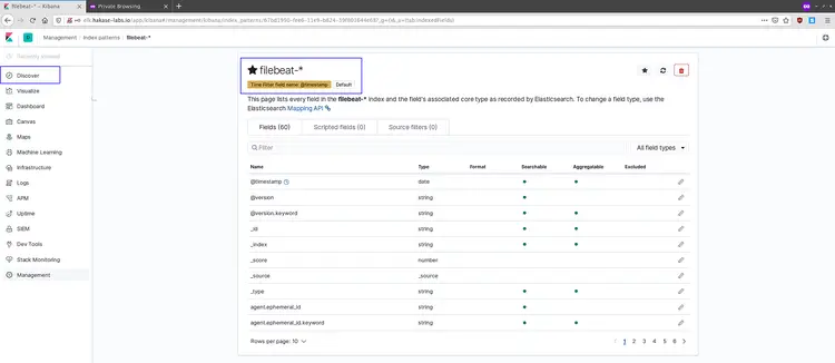 Filebeat in Discover menu