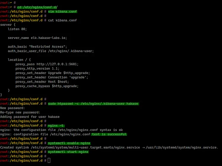 Configure Nginx as reverse proxy