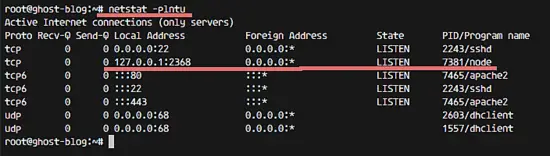 Check ghost with netstat