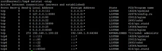 Check Gitlab with netstat