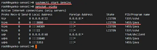 Jenkins has been installed on port 8080