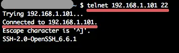 Check SSH Port