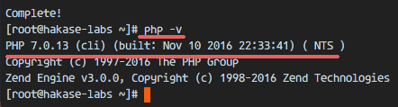 Check the PHP version on CentOS