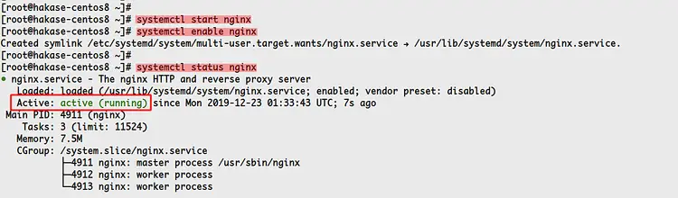 Start Nginx with systemd