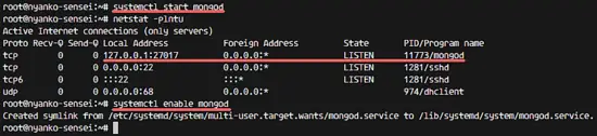 Install MongoDB and start it.