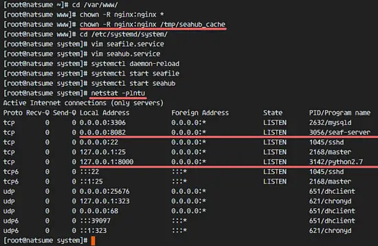 Start seafile and Seahub service