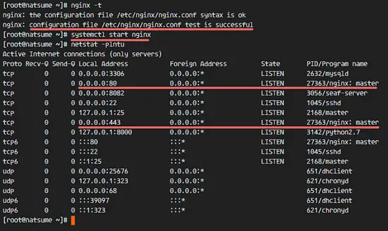 Check that Nginx is listening on the port 80