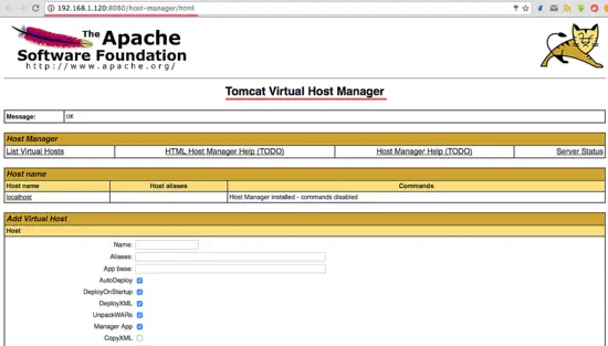 Apache Tomcat Virtual Host Manager Dashboard