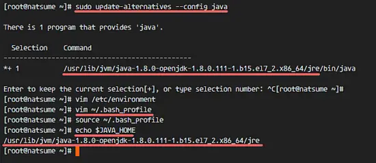 Setup the Java home environment variable