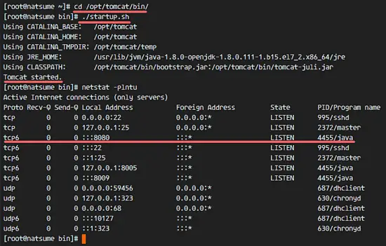 Check that Tomcat has been started with netstat