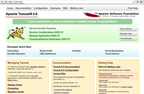 Test Apache Tomcat with a Browser