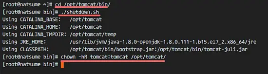 Shutdown Apache Tomcat server test.