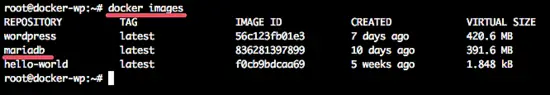 List the MariaDB Docker image.