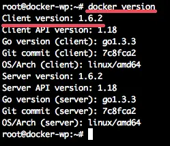 Check the Docker version.