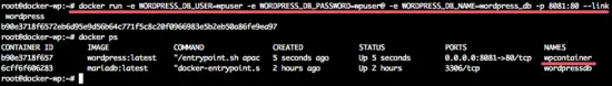 The WordPress Docker Container.