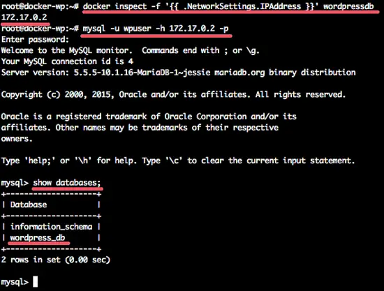 Check the MariaDB database in the docker container.