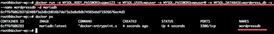 Create the MariaDB container.