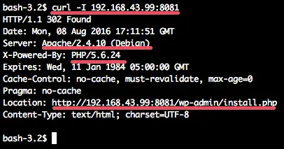 Check that the Wordpress container is running.