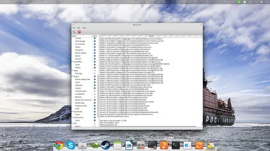 BleachBit Magnifier.