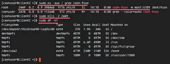 Unmount CphFS with fuse