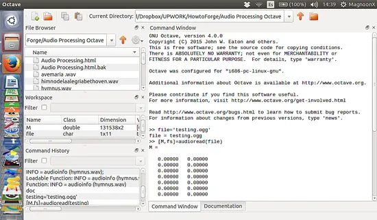 Octave - read audio file into a variable.